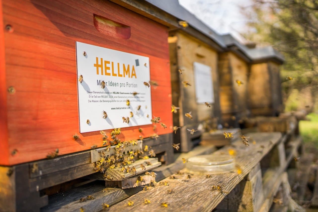 Firmenbienen Projekt
