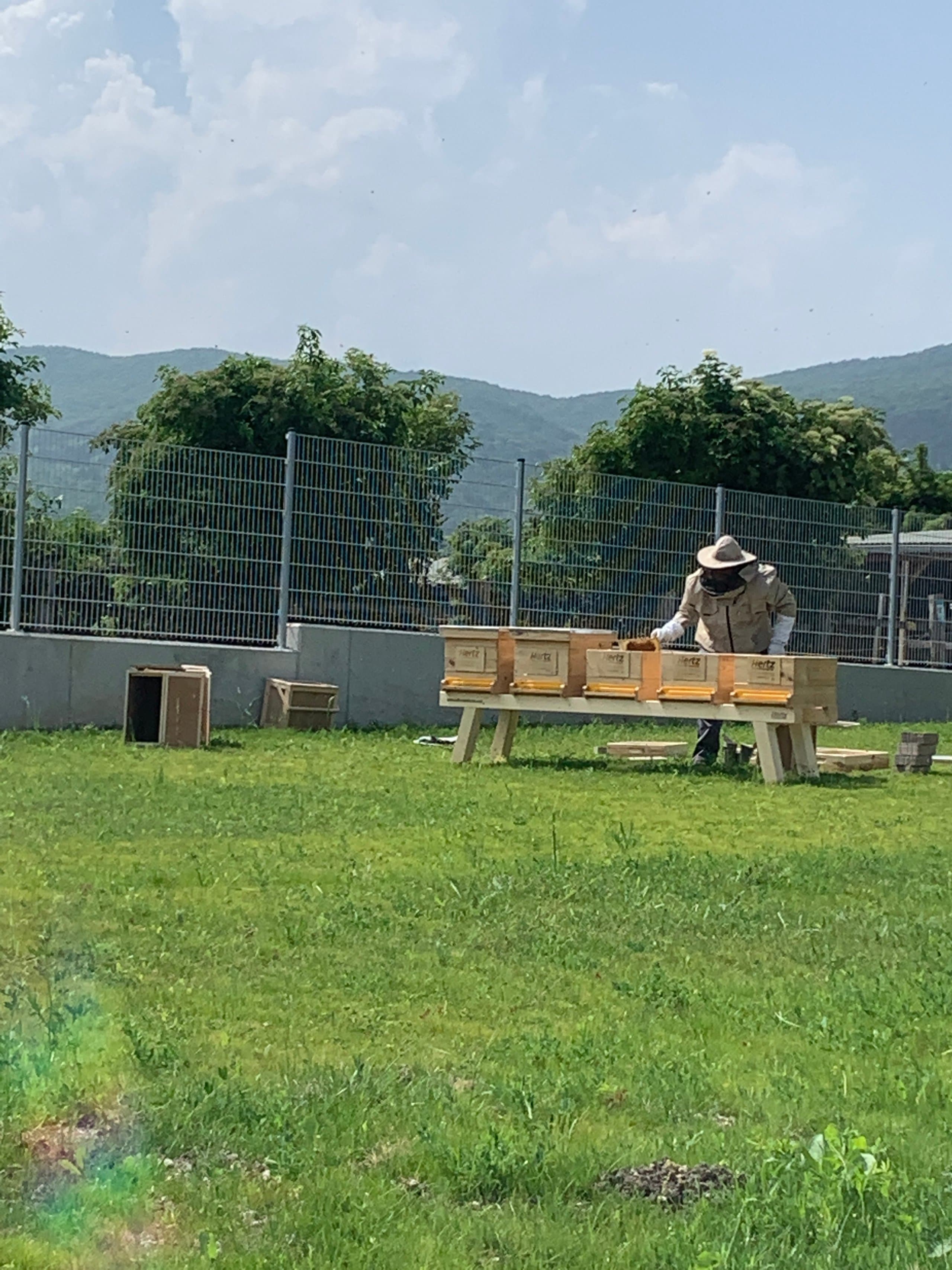 Team mit Bienen