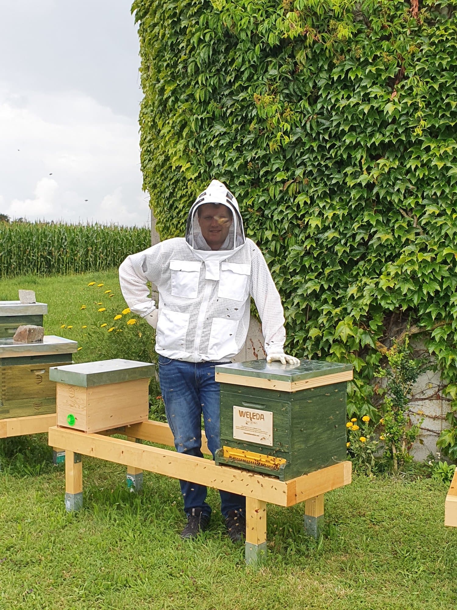 Imker bei der Arbeit