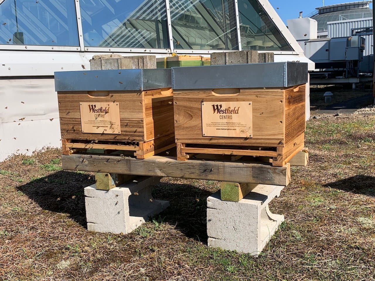 Firmen-Bienen am Unternehmensstandort