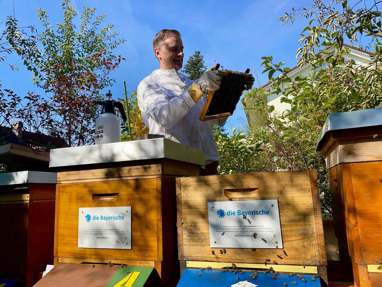 Ganzjahres-Betreuung