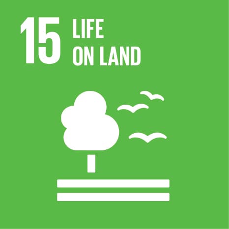 SDG 15 – Leben an Land