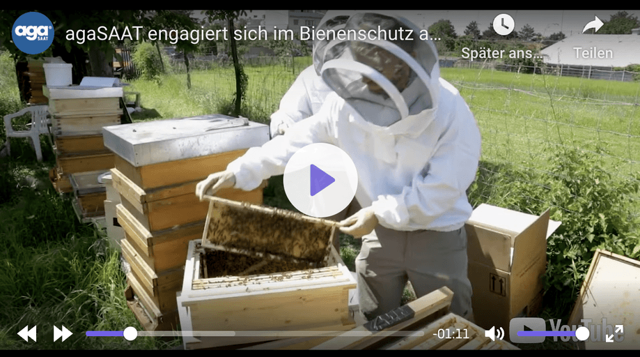 Video als Marketing-Tool