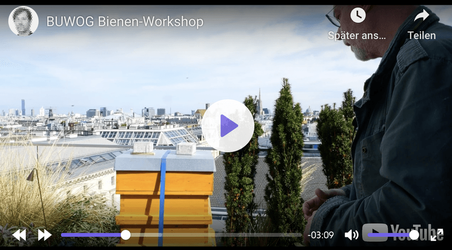 Bienenschutz mit Bildungsauftrag