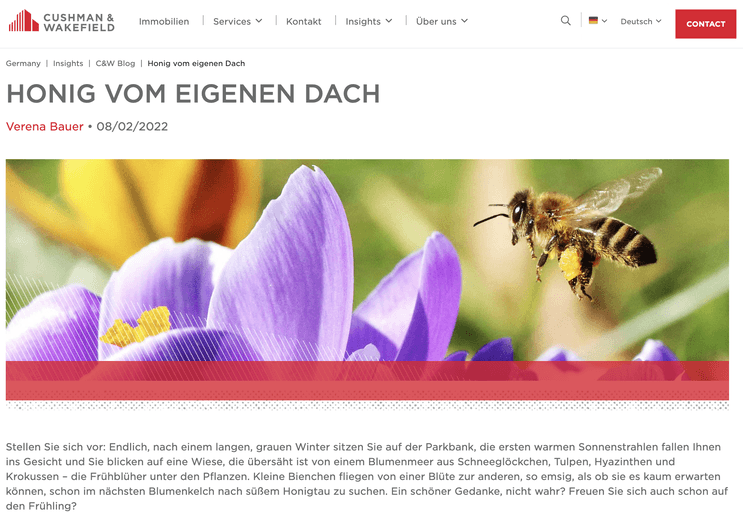 Nachhaltigkeitskommunikation über Blog & Newsletter