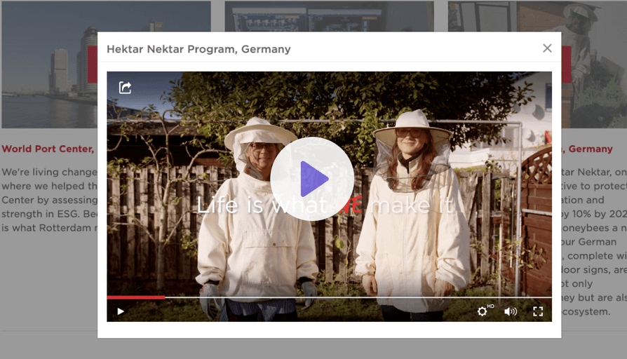 Bee-wegte Bilder weltweit