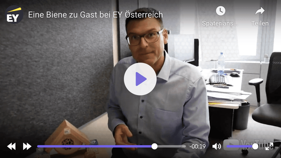 Eine Biene zu Gast bei EY