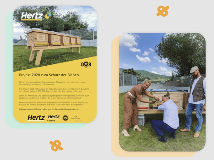 Bienenschutz im Vorbeigehen