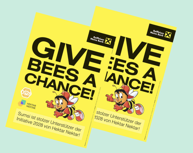 Flyer als Botschaftsträger