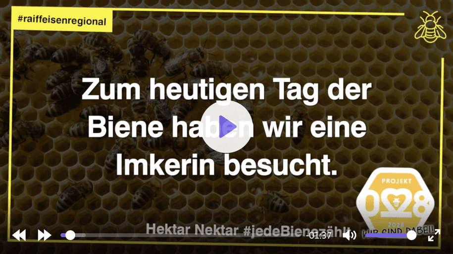 Info-Video zum Tag der Biene