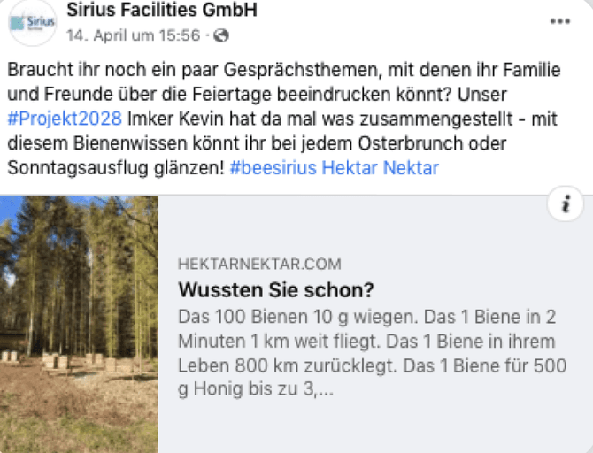 #beesirius: Impactstarker Social Media-Auftritt