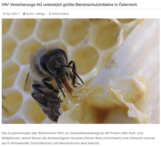 Engagement über das Kerngeschäft hinaus