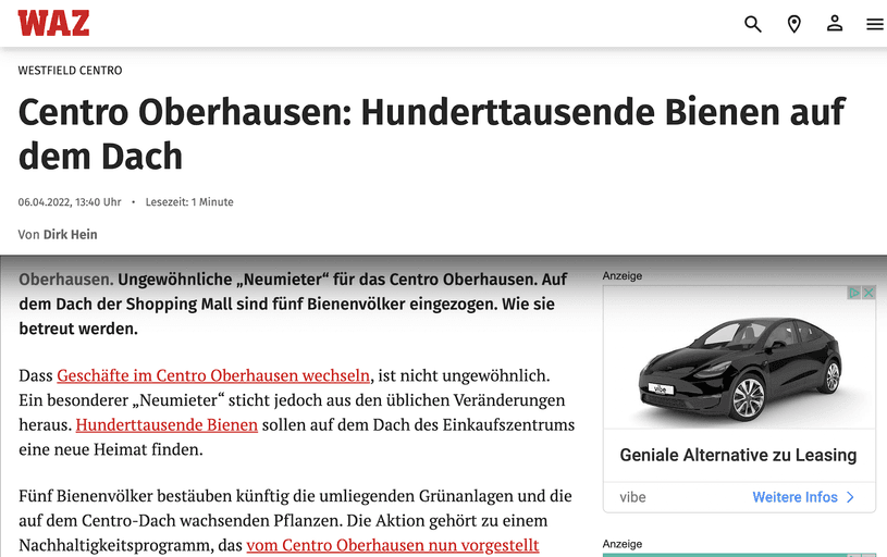 Mediale Kommunikation mit Buzz