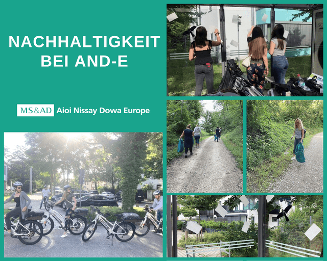 Aioi Nissay Dowa Insurance Company of Europe SE 1