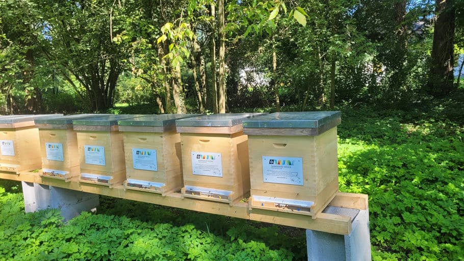 Barmherzigen Brüder Salzburg 2