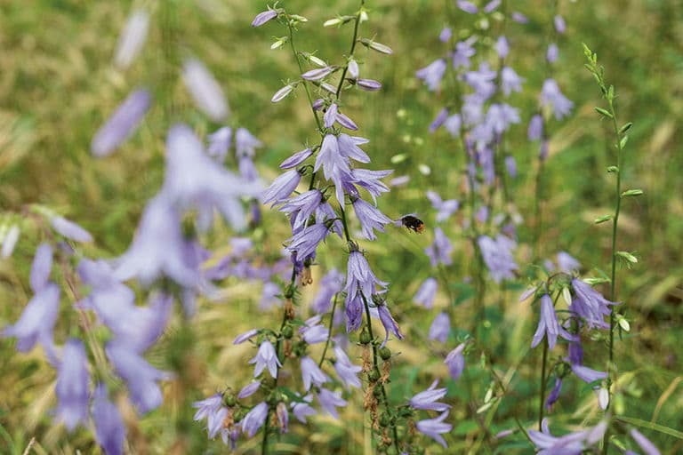 Berlinovo Immobilien Gesellschaft mbH 2