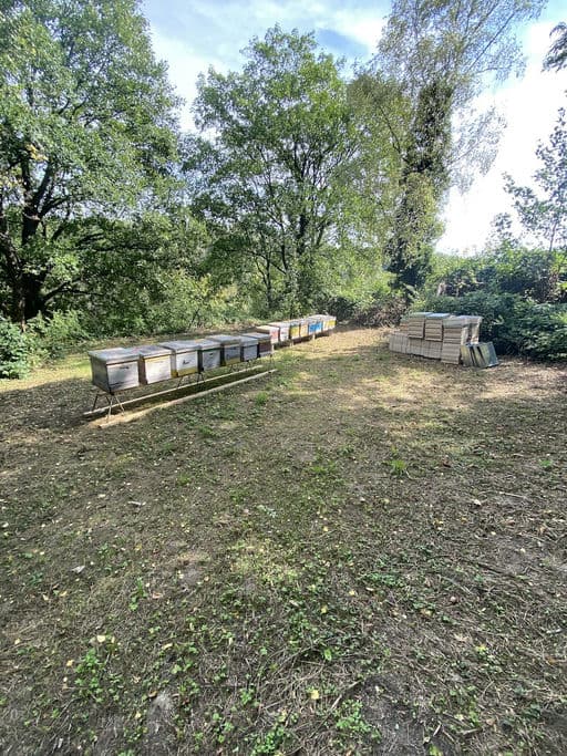 BHB - Pflegeheim Kritzendorf 3