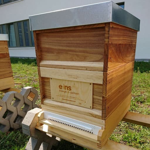 eins energie in sachsen GmbH & Co KG 3