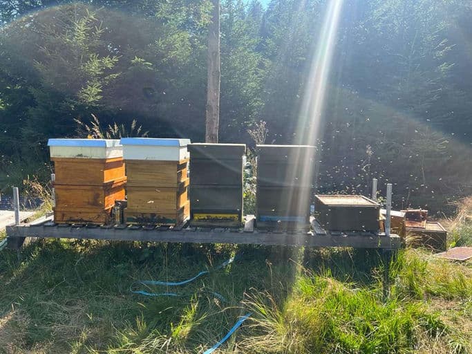 Emmi Österreich GmbH