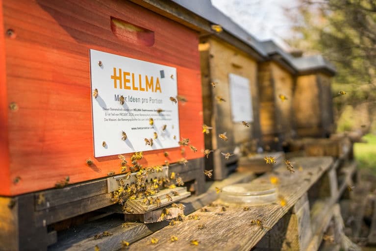 HELLMA Gastronomie-Service GmbH