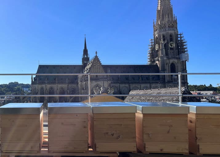 Konventhospital Barmherzige Brüder Linz 1