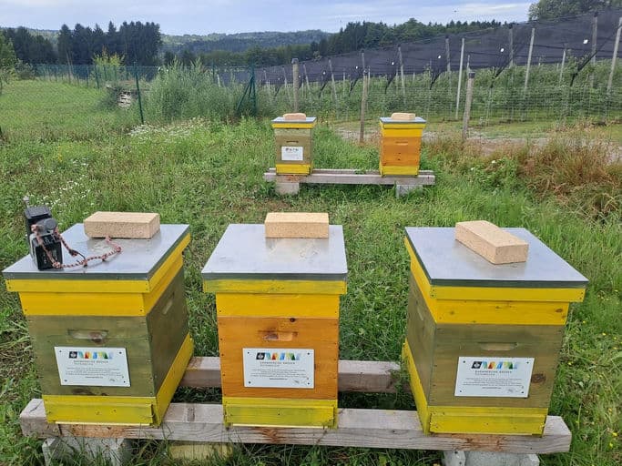 Lebenswelten der Barmherzigen Brüder - Steiermark
