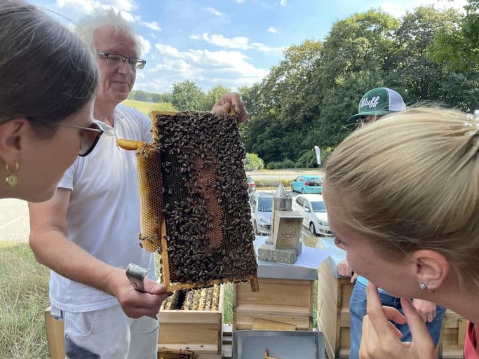 OBI Group Holding SE & Co. KGaA 2