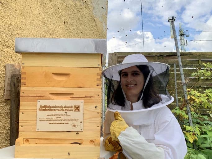 Raiffeisen. Die Stadtbank in Wien