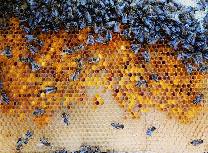 Think! Schuhwerk GmbH