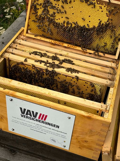 VAV Versicherungs-AG