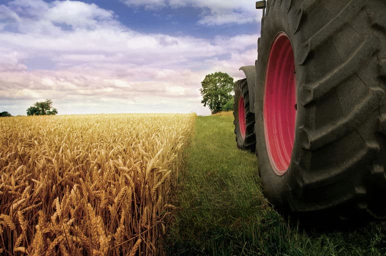 Vogelsang GmbH & Co KG 2