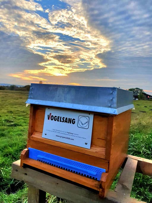 Vogelsang GmbH & Co KG